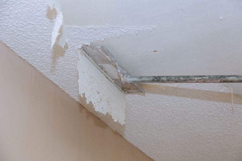 Ceiling Smoothing Service detail