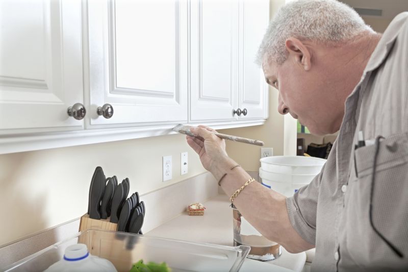 Best Cabinet Refinishing Contractors in the Colony, TX
